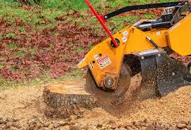 Best Tree Mulching  in Montebello, CA